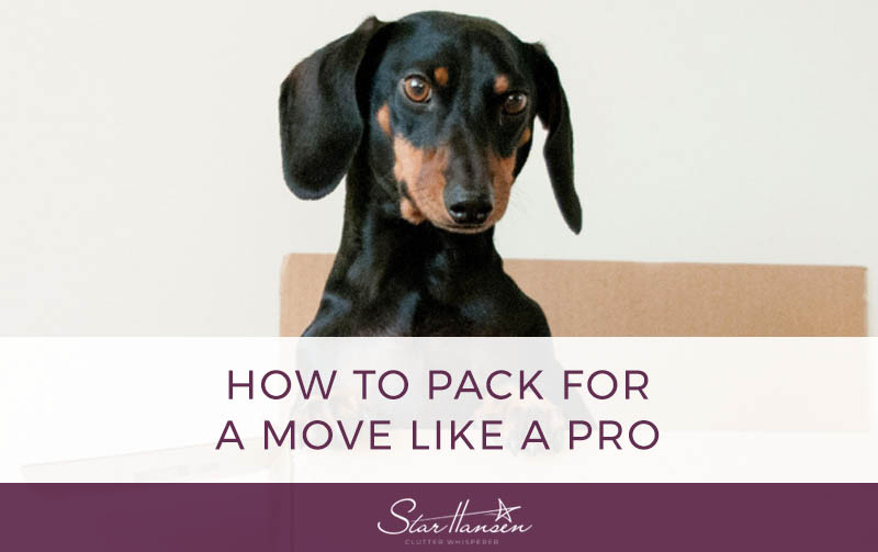 How to Pack for a Move Like a Pro