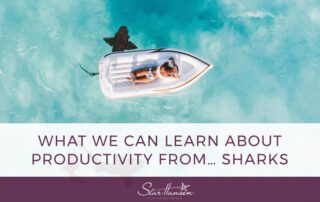 What We Can Learn About Productivity from sharks