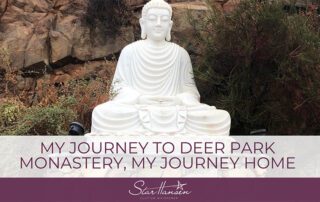 Blog Images - My journey to deer park