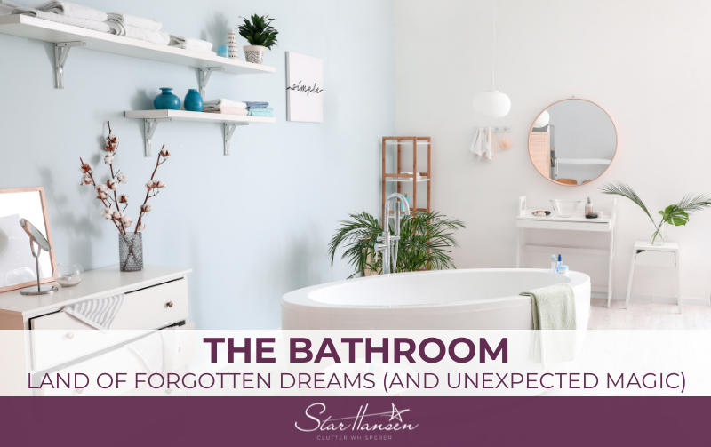 The Bathroom: Land of Forgotten Dreams (and Unexpected Magic)
